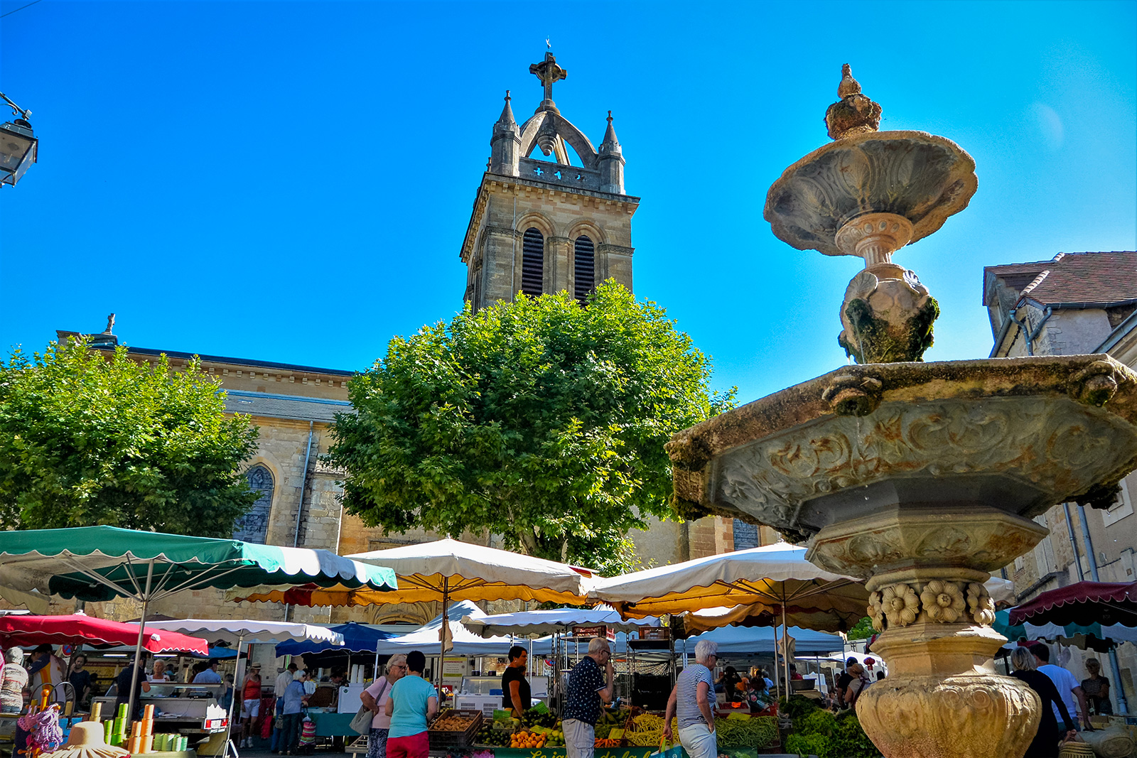 Activités autour du gîte